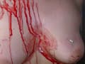 BEST OF PAIN GATE 贄 美らかのん