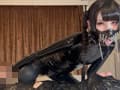 神楽愛乃様に唾吐き唾液垂らしされながら射精するM男