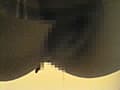 トイレスカトロ1 完全うんこ編