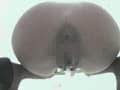 丸見え女子便所10