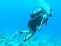 あなたのお家に高沢沙耶がやってくる 引退