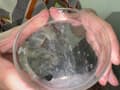 【個人撮影】加護まりの「濃縮還元唾液」を噴霧してみた