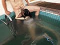 銭湯で見知らぬおじさんのおちんちんをワザと勃起させてもてあそぶ痴女っ子たち。