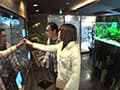 マッチングアプリで出会ったセックス依存症のお姉さんにコンドームの箱が空になるまでヌかれまくった。 藤森里穂