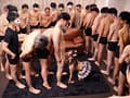 種付け特化 孕ませ中出し 一条みお