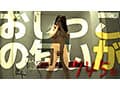 【超放尿1266分】美少女・美熟女がカメラの前で見せつけるおしっこ935連発 総尿量241，045mlの大放出！