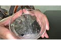 【個人撮影】閲覧注意！加護まりの「濃縮還元唾液」を加湿器で噴霧してみた！