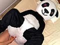 着ぐるみの中の人 遊園地のキャストさん4名