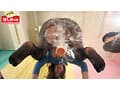 親友対決！固定ディルド腰ふり競争1000回ふらなきゃ帰れまセン！！12時間SPECIAL