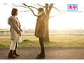 結ばれない恋に溺れて…いつか別の男の彼女になってしまう幼馴染でセフレの朱里と僕は、終わりを予感しながらも何度も何度も中出しSEXをした。 美谷朱里