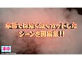 本中’24 夏の大共演 完全版！大感謝8時間 特別プライス！！