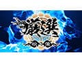 ホイホイロード9 ～素人ホイホイZの軌跡～全員美少女！全員爆乳！’厳選映像vs未公開映像’熱盛ベスツ！最強肉感！ハメ撮り頂上決戦！上玉20人11時間ハメ撮り・個撮・ワンナイト・マッチングアプリ・巨乳・巨尻・SNS・潮吹き・顔射・ごっくん・ドキュメント・素人・痴女
