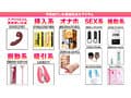 How to学園 観たら【絶対】SEXが上手くなる教科書AV 絶対中イキさせる最強玩具編 乙アリス