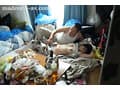 逃走中、絶倫中年男に匿われたボロアパートで激しくもはかない性交に満ちた罪深き女囚の7日間―。 一乃あおい