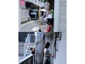 咽辱 ストーカーの粘着イラマで7日間喉射され続けた被害女性 月野江すい