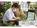 デジタル30万DL超え！！ 夏の間中小悪魔J●とナマ中出し三昧 夏日1＆2実写版 うんぱい