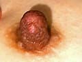 とある男の秘録集15