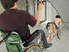 完全人格否定 ~馬車女~